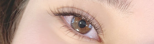 lashes