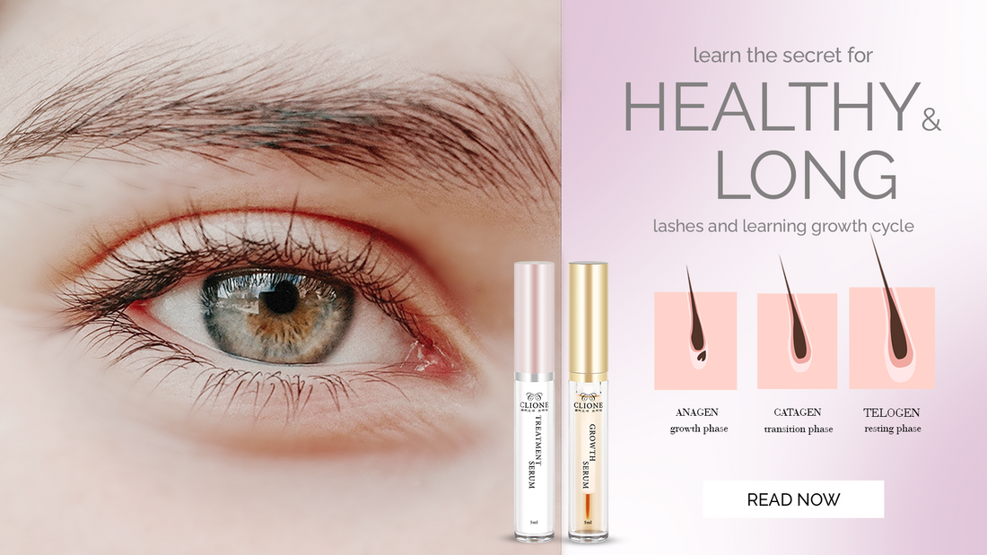 The Lash Growth Cycle and the Power of Clione Prime Lash Growth Serum